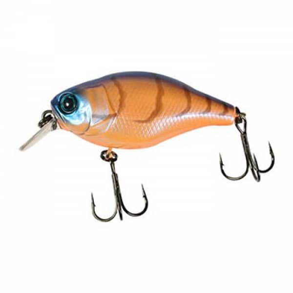 chameleon craw