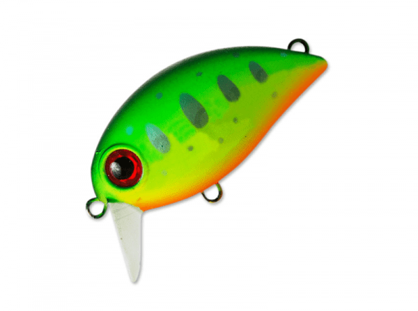 Hickory