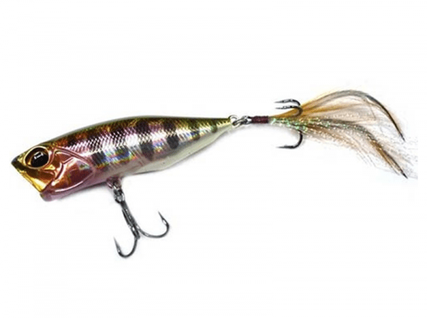 Realis Popper
