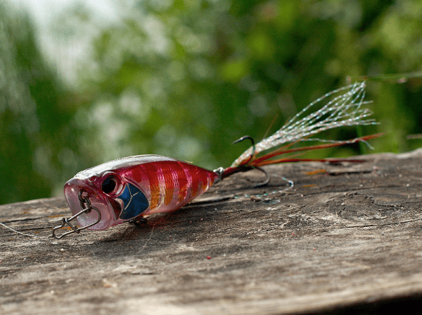 Realis Popper