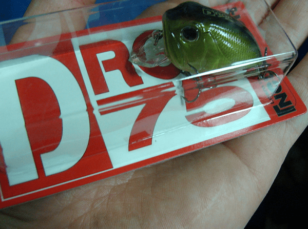 Incubator