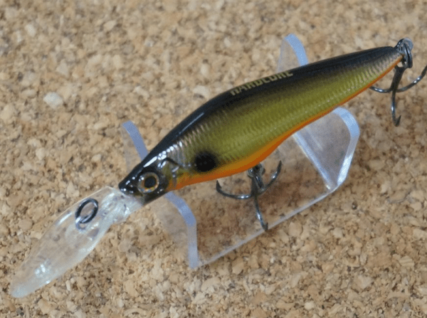 Hadcore Shad