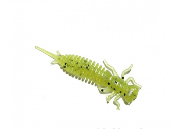 Larva