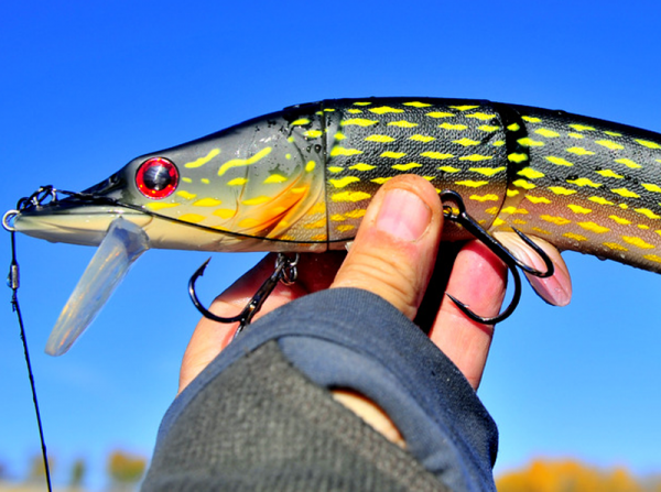 Mike the Pike