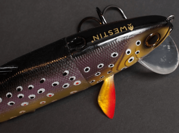 Tommy the Trout