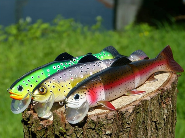 Tommy the Trout
