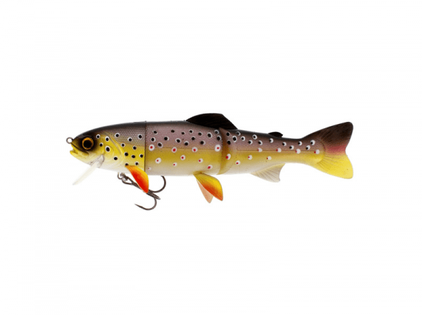 Tommy the Trout