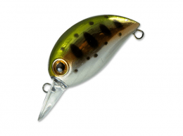 Hickory