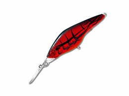 Hadcore Shad
