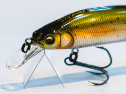 Ito Shiner