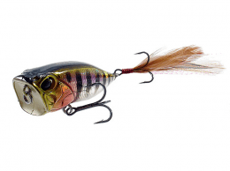 Realis Popper