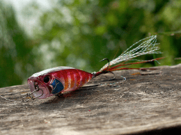Realis Popper